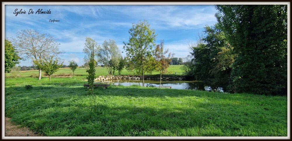 Propriété à vendre entre BIZIAT et PONT DE VEYLE (01) 16,5 Ha, vue, maison 145 m², ferme à rénover 170 m², pigeonnier, hangar, é