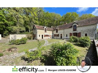  Propriété/château à vendre 8 pièces 228 m²