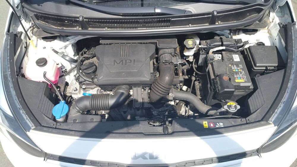 Picanto 1.0 67 Motion - Entretien constructeur 2024 occasion 62210 Avion