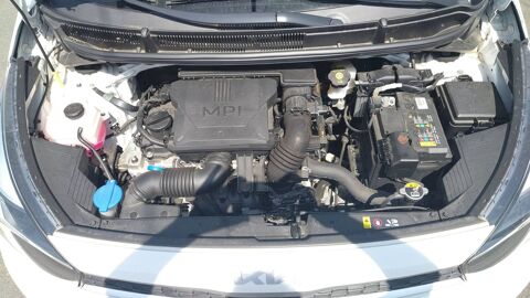 Picanto 1.0 67 Motion - Entretien constructeur 2024 occasion 62210 Avion