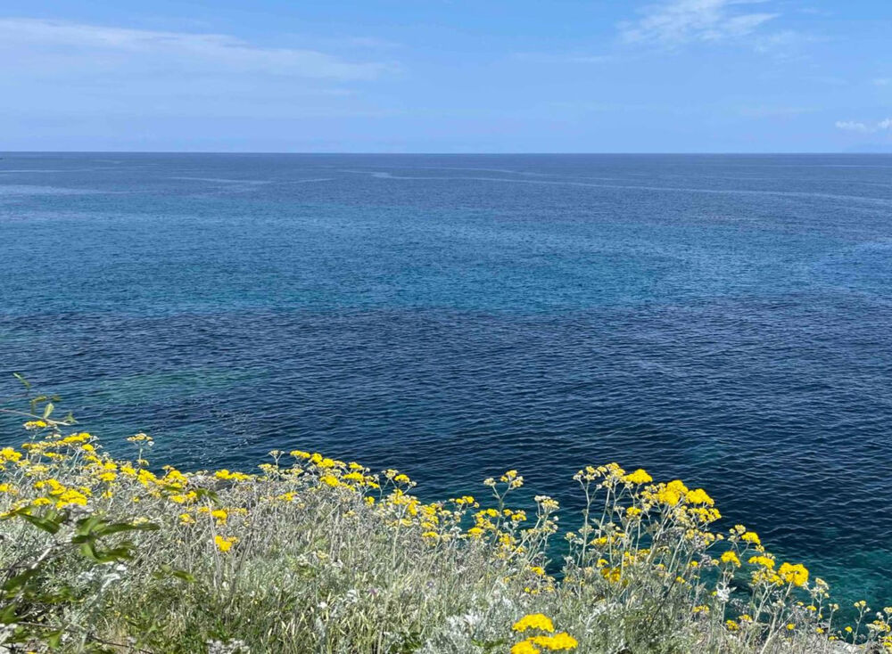 Vente Terrain Terrain à vendre 2600 m² PIETRACORBARA (20) - VUE MER PANORAMIQUE Pietracorbara