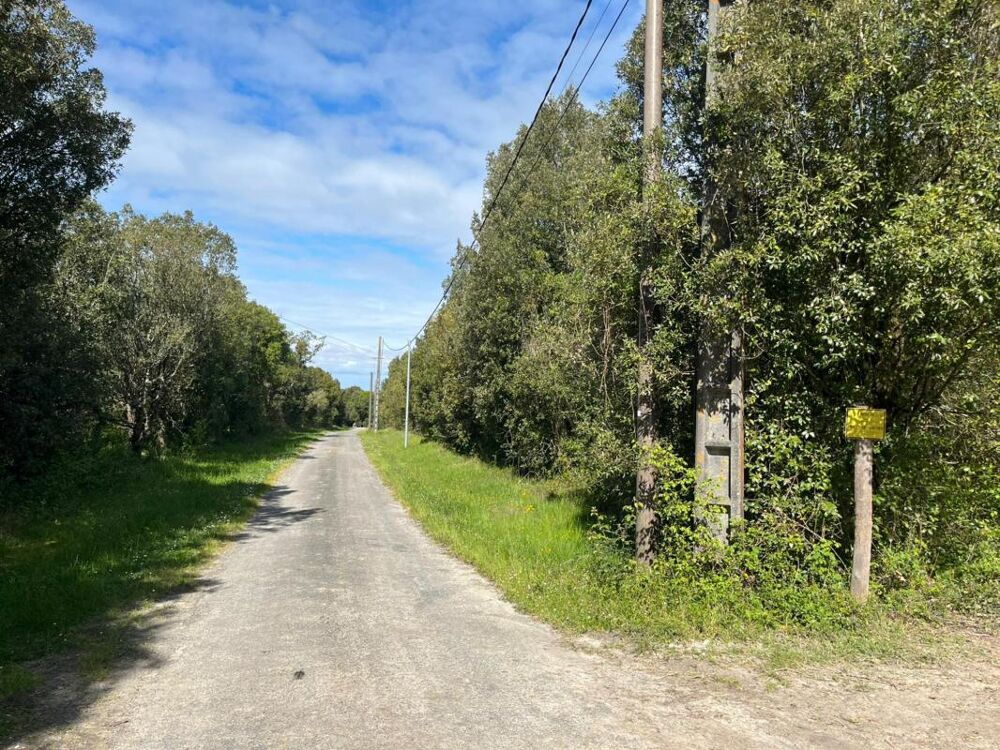Vente Terrain Terrain Saint thomas de conac