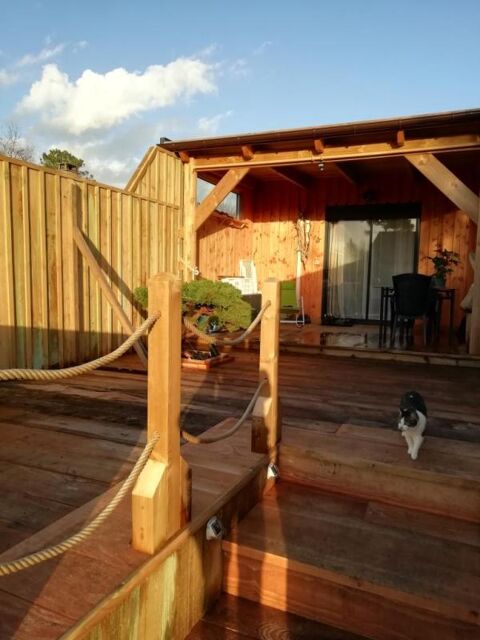  Appartement � louer 1 pi�ce 35 m�