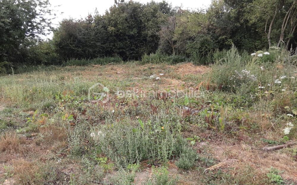 Vente Terrain Magnifique terrain plat Villers au bois