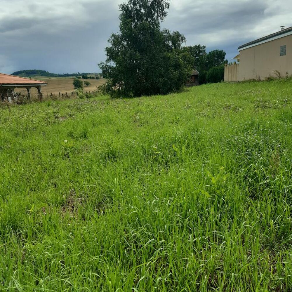 Vente Terrain Terrain Bongheat