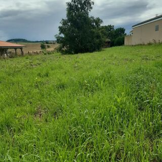  Terrain à vendre 1355 m²