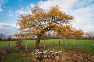  Ferme � vendre 5 pi�ces 183 m� Le favril