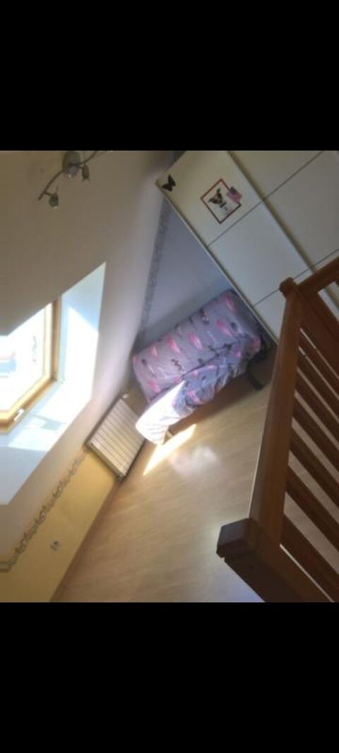  Appartement � louer 3 pi�ces 55 m�