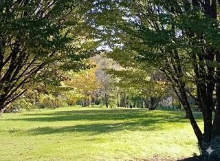  Maison � vendre 5 pi�ces 138 m�