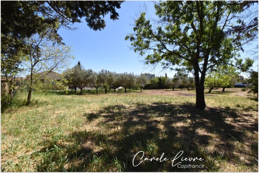 Vente Terrain Terrain 779 m² viabilisé Usclas d herault