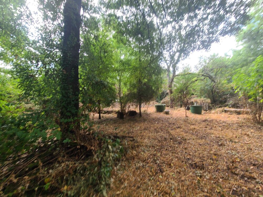 Vente Maison Maison Charentaise 134m² terrain 2612m² et Dépendances Saint hilaire de villefranche