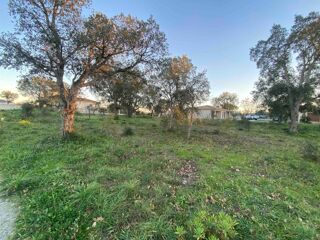  Terrain  vendre 1000 m