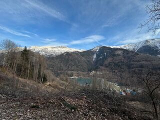  Terrain à vendre 1 pièce 800 m²