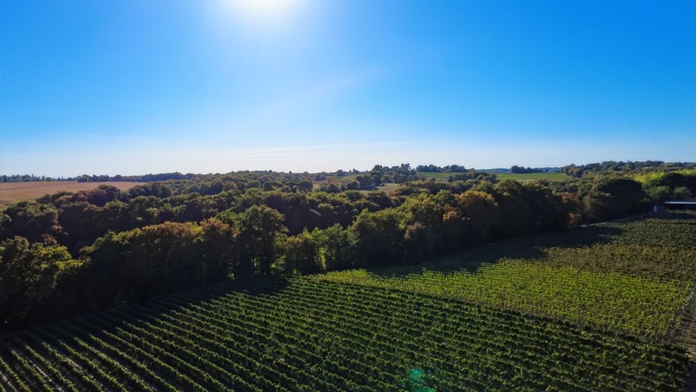 Vente Propriété/Château 8,5 hectares de bois PARLEBOSCQ (40) Parleboscq