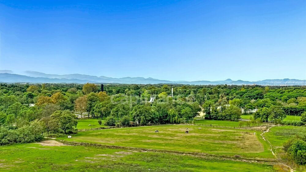 Vente Appartement Pyrénées Orientales (66) – Studio 37 M² –  Dernier étage – Vue panoramique – Climatisation - Plage à 300 mètres Argeles sur mer