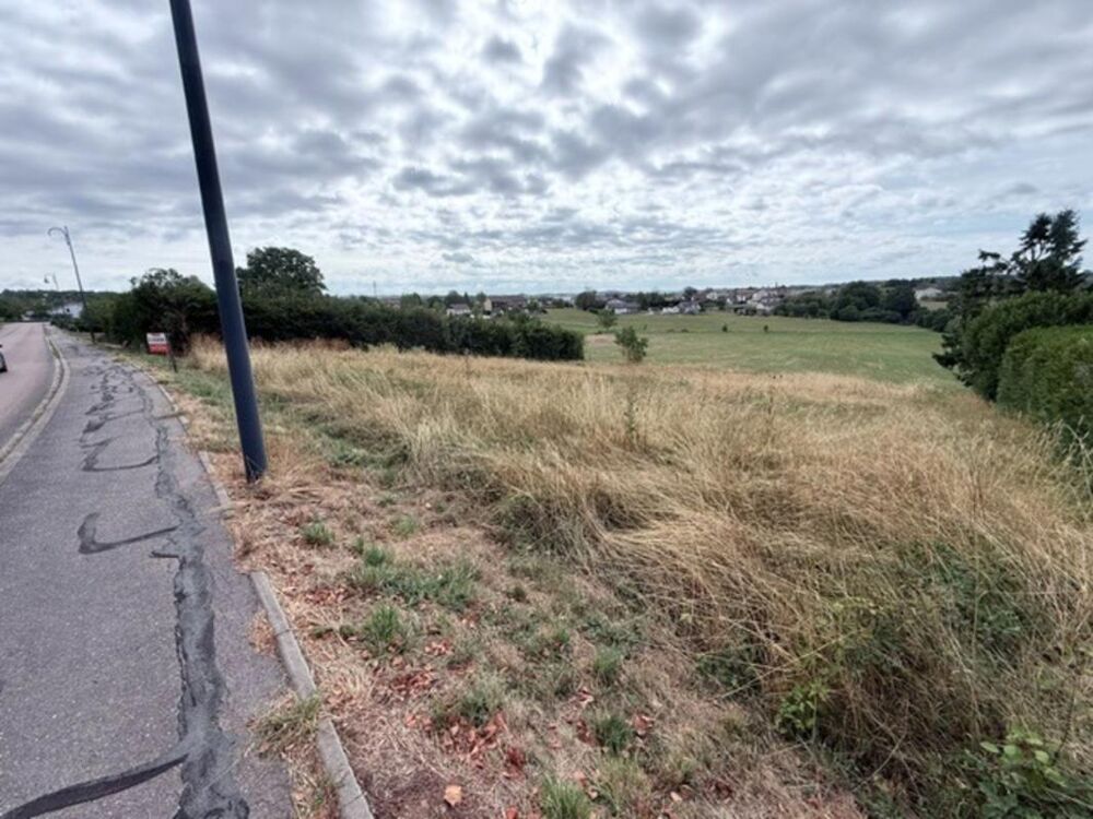 Vente Terrain COUP DE CŒUR À HAROL (88270) – TERRAIN D'EXCEPTION 1 049 m² Harol