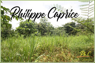  Terrain  vendre 1015 m