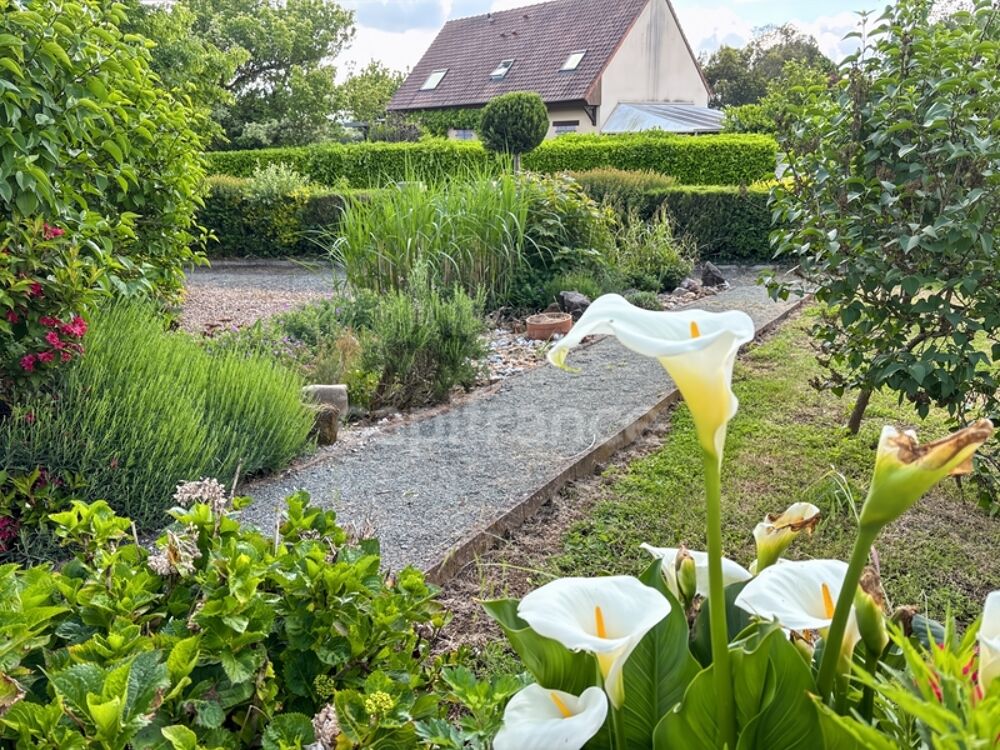 Vente Maison NEUVILLE SUR SARTHE (72) Maison sur sous sol 3 chambres 1500 m2 Neuville sur sarthe