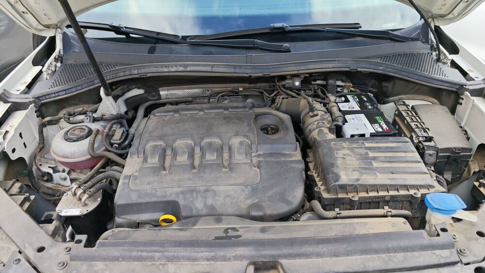 Tiguan II 2.0 TDI 150 DSG7 Carat 2020 occasion 20600 Bastia