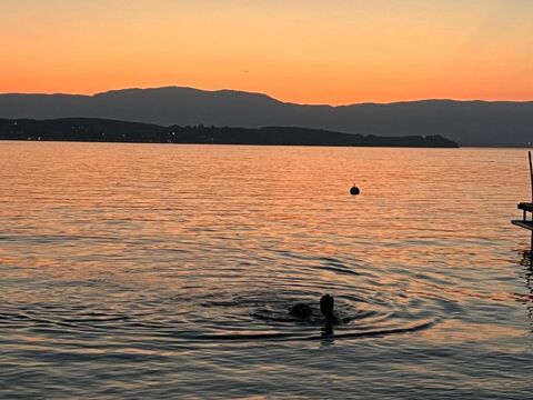   Appartement de 27m2 � louer sur Sciez Appartement - 2 pi�ce(s) - 27 m�