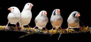  Terrain � vendre 1300 m�