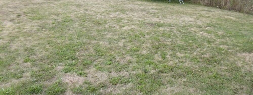 Vente Terrain Terrain 828 m²  LEGE (44) Lege