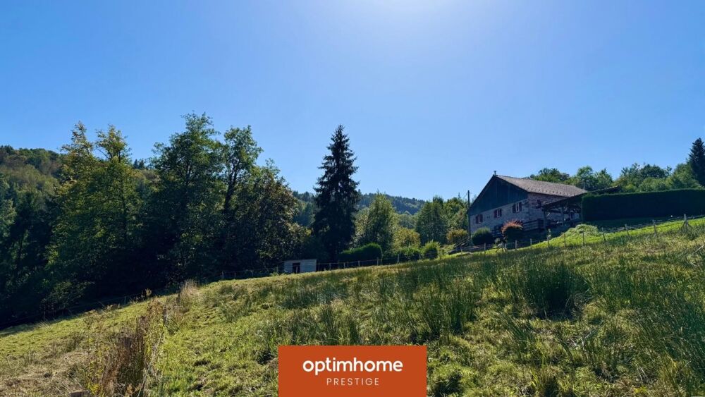 Ferme vosgienne en pierre de 209 m²  entièrement rénovée  1,3 hectare  vue montagne  vendue meublée