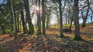  Terrain � vendre 41620 m�