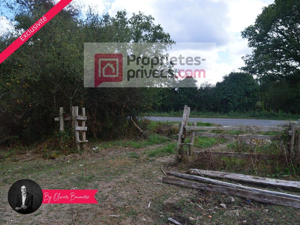 Vente Terrain Terrain boisé de 30 000 m² Sainte reine de bretagne