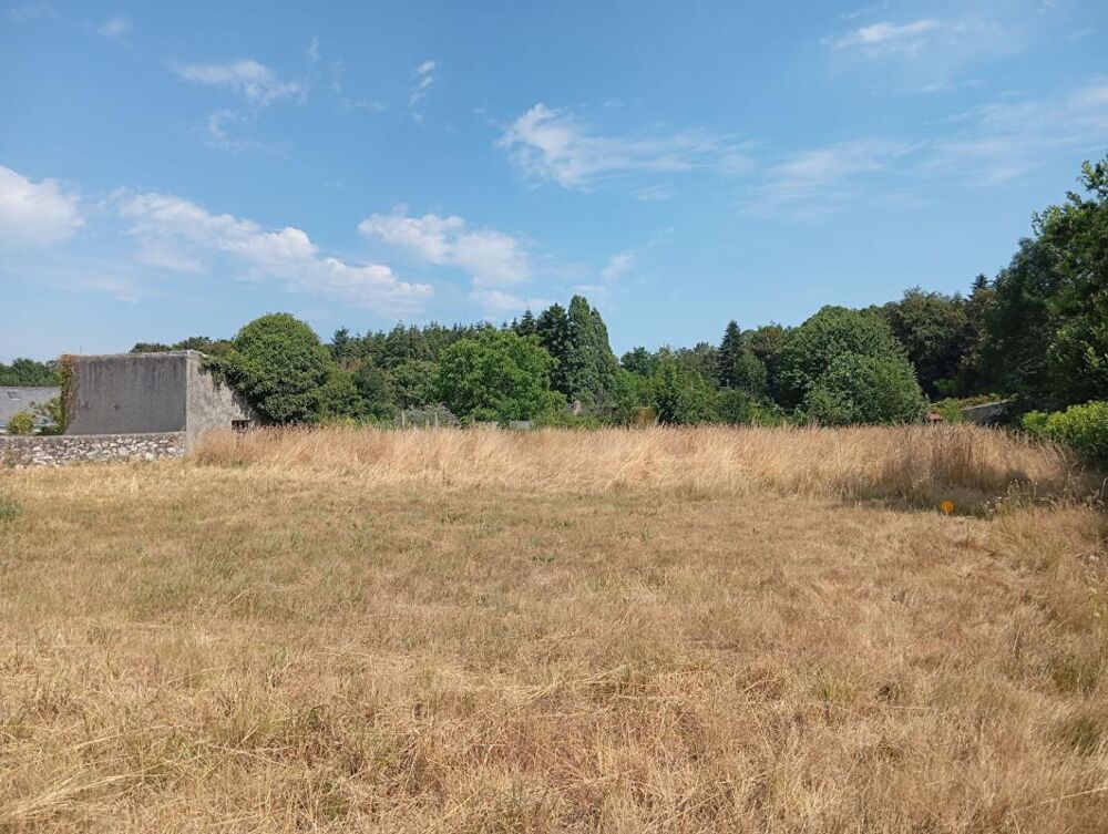 Vente Terrain Terrain constructible QUIMPERLE 1300 m2 Quimperle