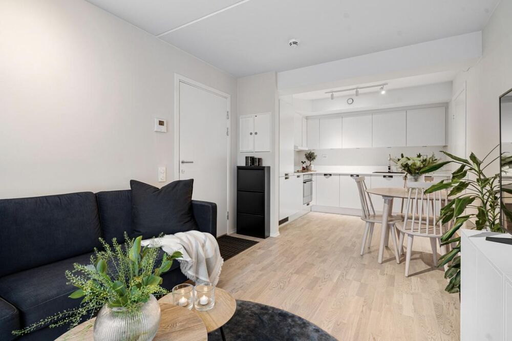 Vente Appartement T3 de 61m2 France