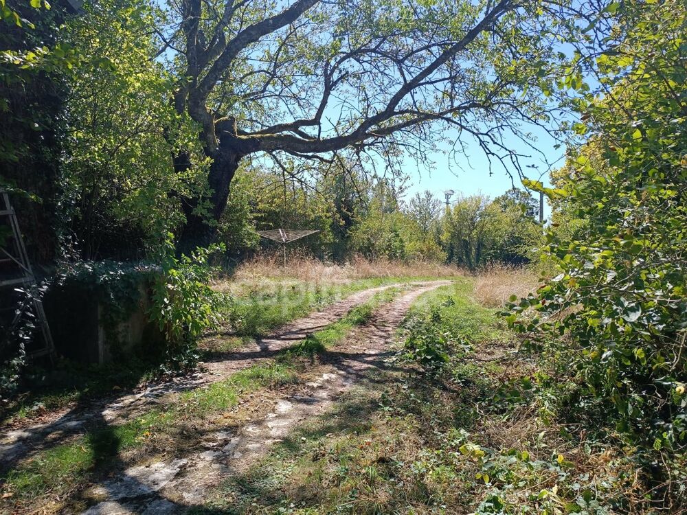 Vente Maison Maison à vendre 4 pièces ARCES DILO (89) Arces dilo