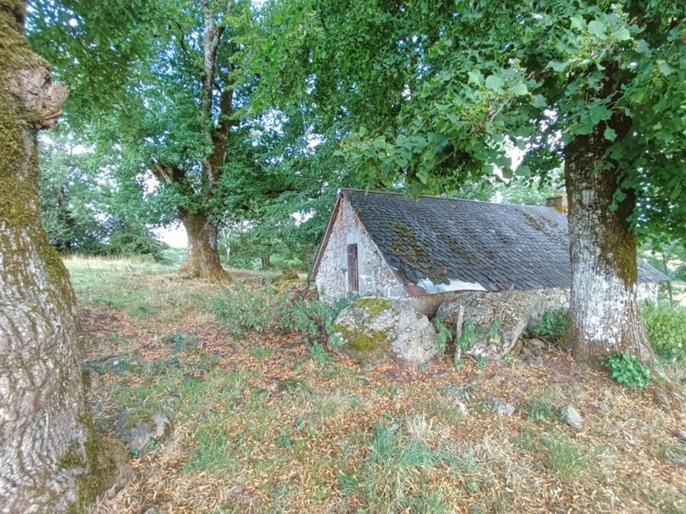 Exceptionnel ! Propriété de 36 hectares avec buron Proche de Salers