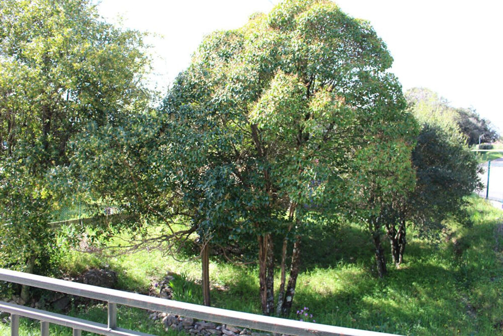 Vente Maison Maison modulable de 130 m² au calme, proche centre et nature - Méjannes-le-Clap Mejannes le clap