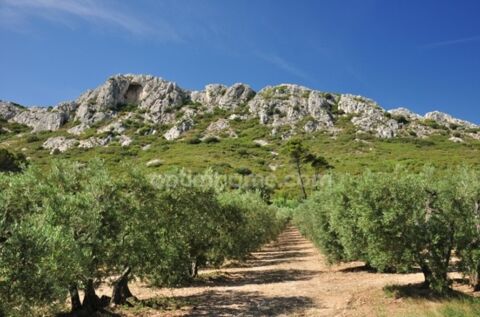 Local commercial / bail &agrave; ceder &agrave; SAINT REMY DE PROVENCE 147000 13210 Saint remy de provence