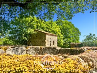  Propriété/château à vendre 15 + pièces 411 m²
