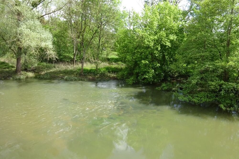 Vente Terrain Terrain à vendre de 344,00 m² NARGIS (45) Nargis