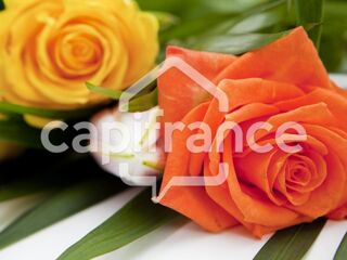  Terrain � vendre 73480 m�