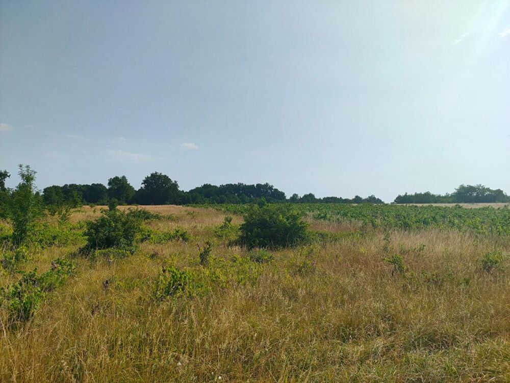 Vente Terrain TERRAIN AGRICOLE 5.60 HECTARES Sainte eulalie