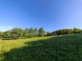  Terrain à vendre 1650 m²