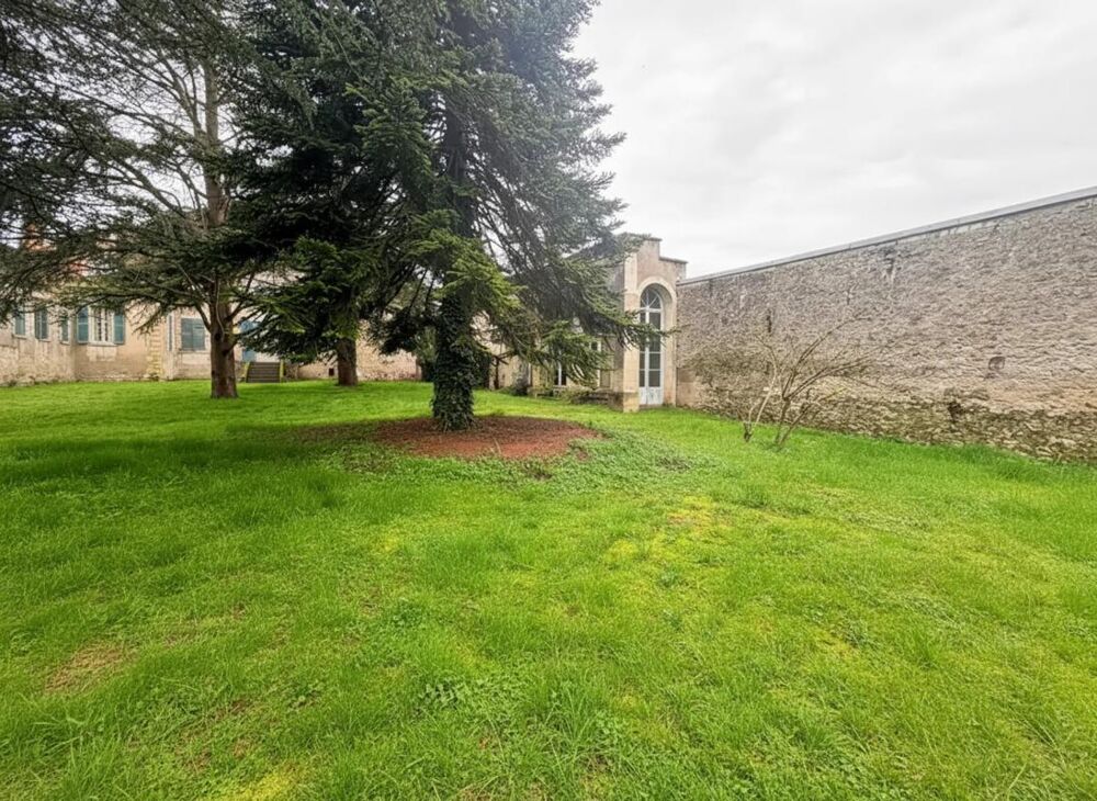 Vente Hôtel particulier Majestueux Hôtel Particulier à Châtillon-sur-Indre Chatillon sur indre