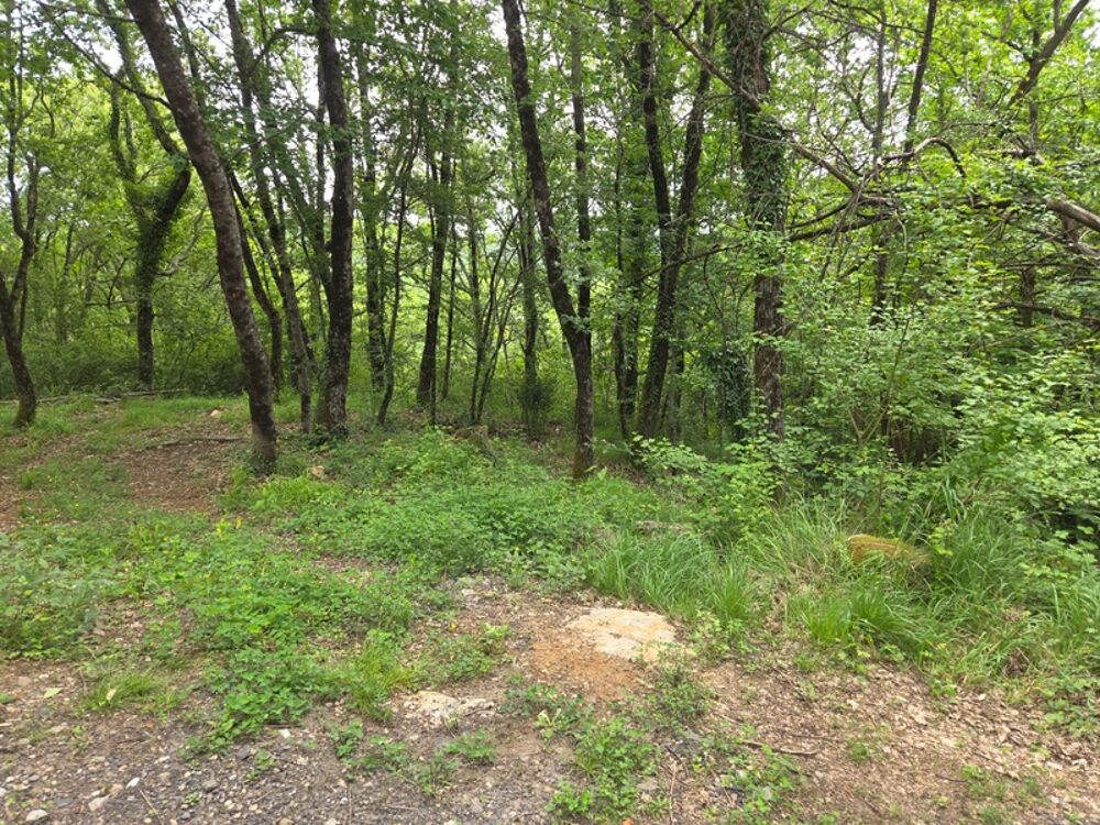 Vente Terrain MEYRANNES (30) A vendre terrain d'une superficie de 9849m2 dont 868m2 à bâtir borné récemment et châtaigneraie Meyrannes
