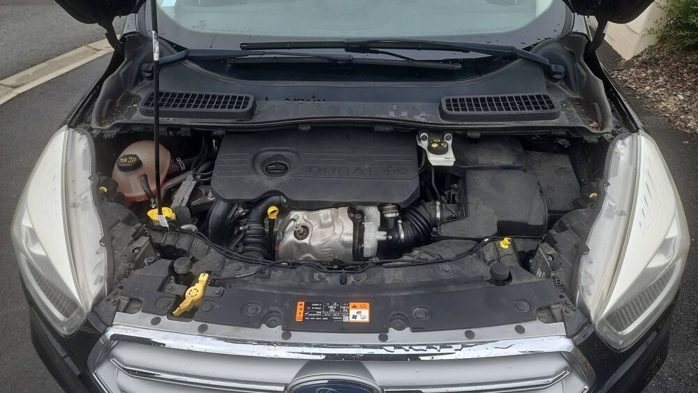 Kuga 1.5 TDCI 120 BVA Titanium - Automatique Toit ouvrant 2018 occasion 17220 Salles Sur Mer