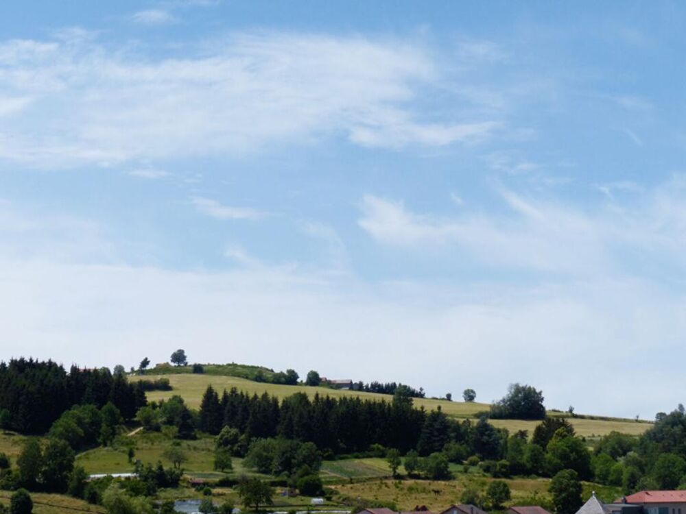 Vente Maison Maison de caractère à rénover -  Fort potentiel - Laussonne Laussonne