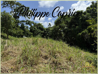  Terrain  vendre 1015 m