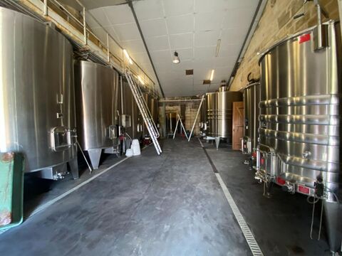 Vente Propri�t�/Ch�teau El�gant et lumineux ch�teau viticole sans travaux XIX�me, Saint Emilion  8ha vignes Vignonet