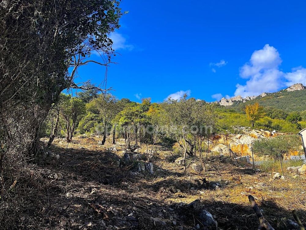 Vente Terrain Terrain constructible au coeur du Pays Cathare Duilhac sous peyrepertuse