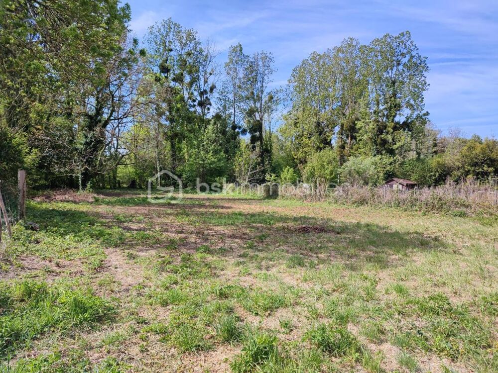 Vente Terrain Terrain constructible de 1960 m² Villeneuve l archeveque