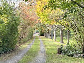  Maison � vendre 6 pi�ces 157 m�