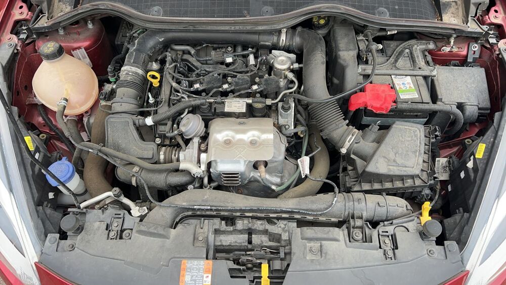 Fiesta 1.0 EcoBoost 100 Titanium 2019 occasion 89100 Sens